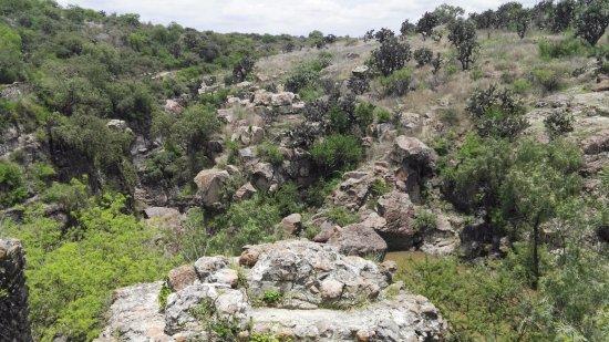 El Charco del Ingenio